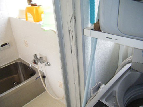浴室入口ドア枠 ヤマトシロアリによる被害